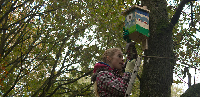 meisje timmert vogelhuisje hoog in een boom